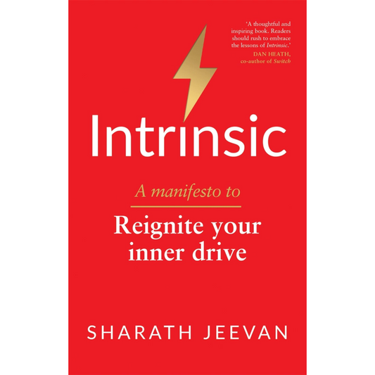 Intrinsic: A manifesto to reignite your inner drive